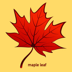 Naklejka na ściany i meble Maple Leaf artistic power stroked outlined color Illustration - Vector