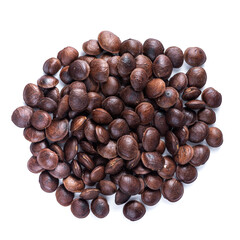 Legumes Of Sacha Inchi Or Inca Peanut. Dried Sacha Inchi nuts isolated over white background