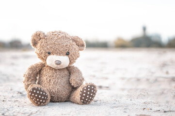 Closeup teddy Bear toy laying  alone in the  ground