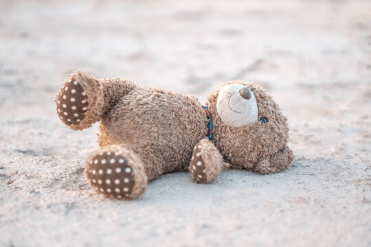 Closeup teddy Bear toy laying  alone in the  ground