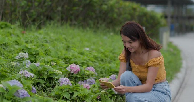 Woman take photo on cellphone in flower field