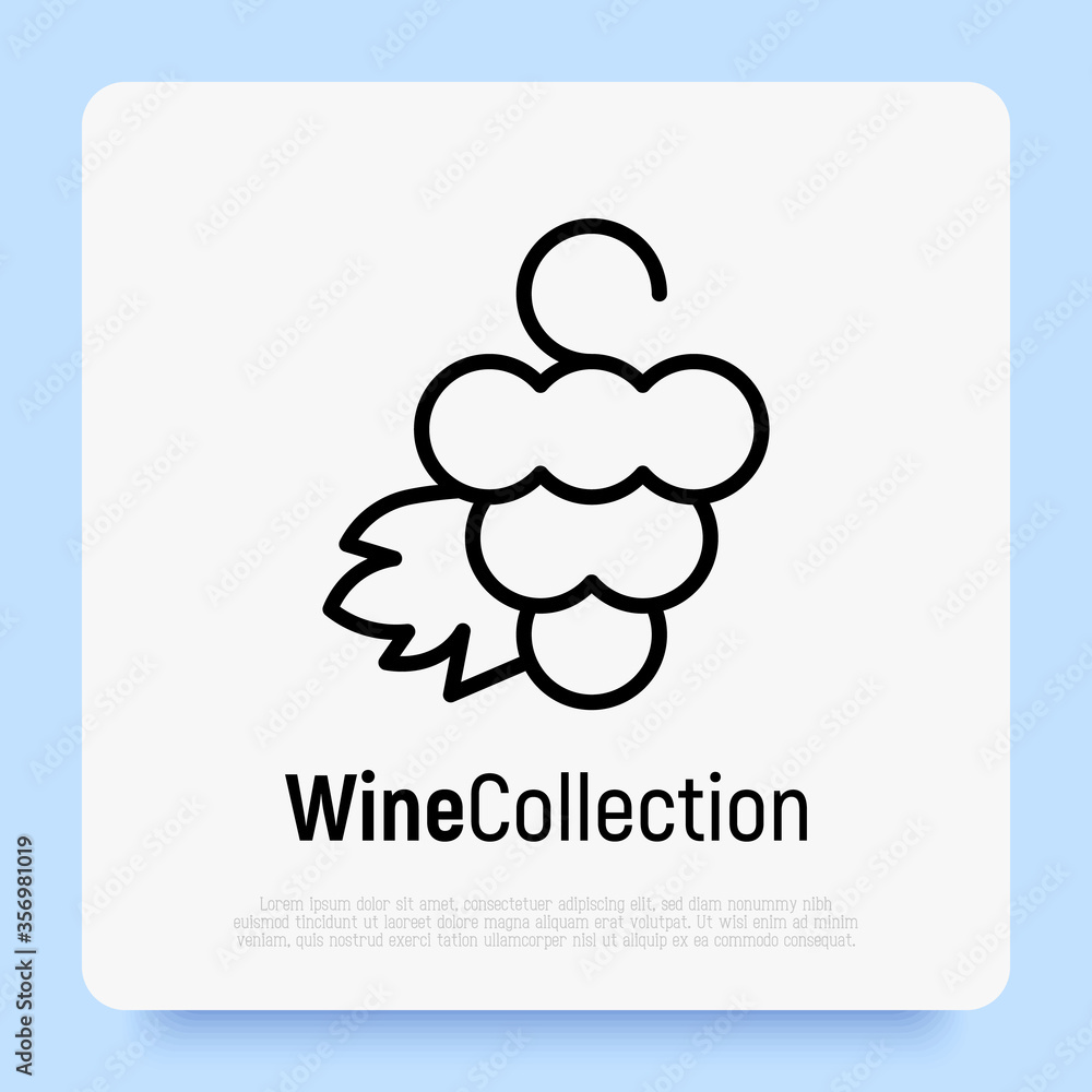 Poster logotype for wine and wine making. bunch of grapes with leaf. thin line icon. vector illustration.