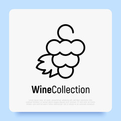 Logotype for wine and wine making. bunch of grapes with leaf. Thin line icon. Vector illustration.