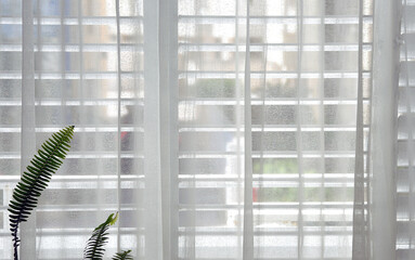 window with shutters and a transparent curtain