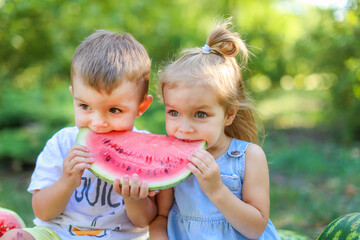 Two kids eating one slice of watermelon in the garden. Kids eat fruit outdoors. Healthy snack for...