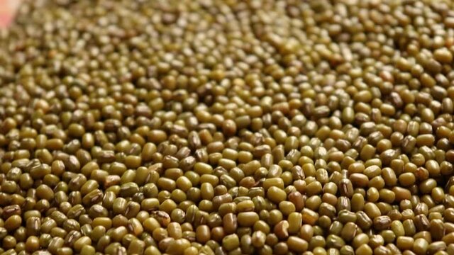 moong dal isolated stock footage.