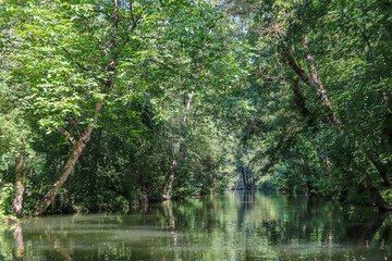 Nouvelle-Aquitaine - Deux-Sèvres - Marais Poitevin - Arçais - Canal de la Venise Verte
