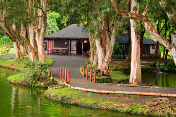 A modest Japanese style Dwelling sits serenly in Hawaii