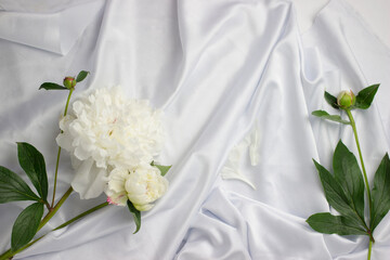 Stunning white peonies on white rustic wooden background.