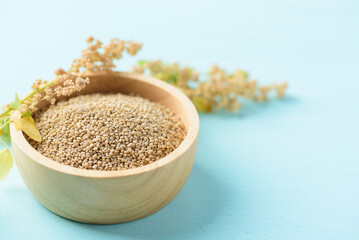 Raw brown quinoa seed in a bowl on pastel color background, Healthy food