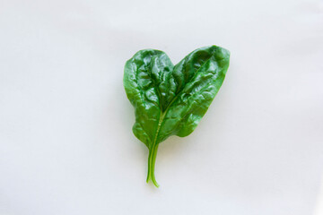 A spinac leaf of a heart shape 