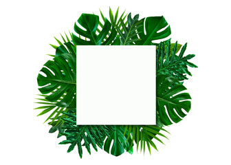 creative tropical green leaves and palms with white paper note, nature flat lay concept, copy space background