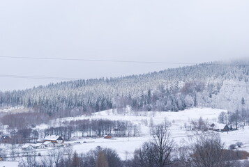 winter forest in the mountains