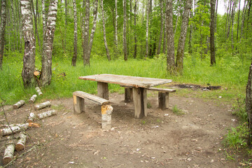 Wooden benches and a table are equipped in a clearing in a birch grove. Debris is visible around, wood and an old fire are lying. A resting place in the woods