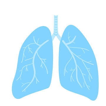 Lungs symbol. Breathing. Lunge exercise. Respiratory system. World Tuberculosis Day. World Pneumonia Day. Health care