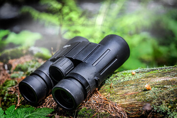 Binoculars with copyspace for text, watching or looking equipment technology. Binoculars in forest concept