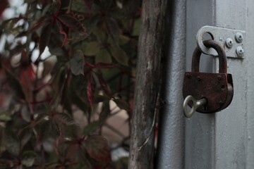 Lock. Key lock. Open lock in the garden, on the gate. Garden. The key in the lock