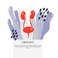 Urology health check banner template 