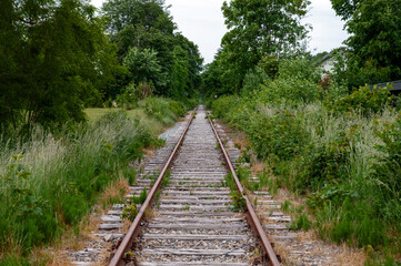 Obraz premium Looking at a railroad surrounded by trees on both sides
