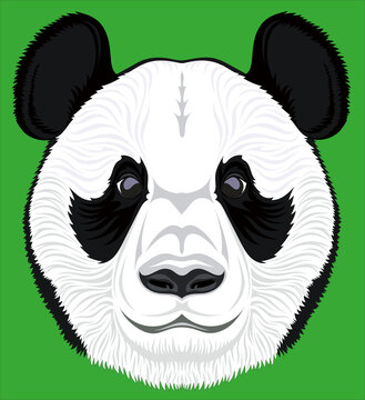 Image of a panda face on a green background.