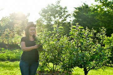 Smiling happy  young  woman gardener sitting in an  organic  orchar apple garden in a sunny day