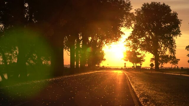 Sunrise over Lake Erie in Ohio with sound of birds and a large ship droning in the background off camera. Shot in June with cottonwood blossoms floating in the sunlight.