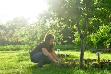 Naklejka na ściany i meble Smiling happy young woman gardener sitting in an organic orchar apple garden in a sunny day