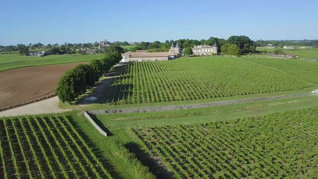 4K Aerial drone footage of Vineyard fields, Saint-Emilion, Aquitaine, Sud-Ouest, France 