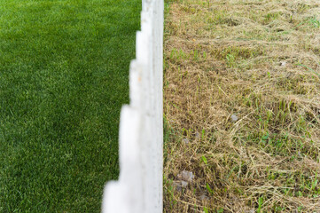 Good and thinned lawn