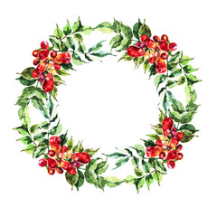  Red campsis on white background. Branch flowers painting in watercolor. Illustration wreath for decor.