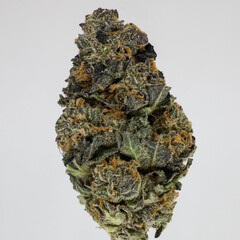 Isolated photo of cannabis