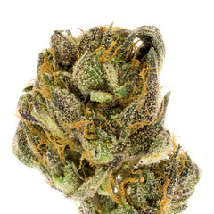 Isolated photo of cannabis
