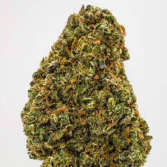 Isolated photo of cannabis