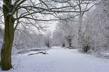 Snow covered winter landscape in Bourgoyen nature reserve. Ghent, Flanders, Belgium