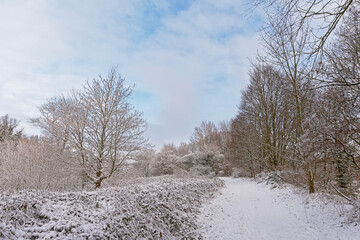 Snow covered winter landscape in Bourgoyen nature reserve. Ghent, Flanders, Belgium