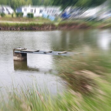 bringe in the lake