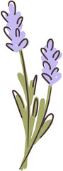 Lavender flower childish clipart isolated on white background.