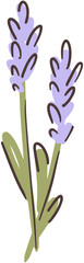 Lavender flower childish clipart isolated on white background.