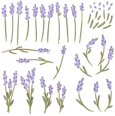 Lavender flower childish vector clipart set isolated on white background.