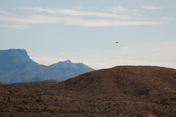 Desert mountain in Big Bend National Park