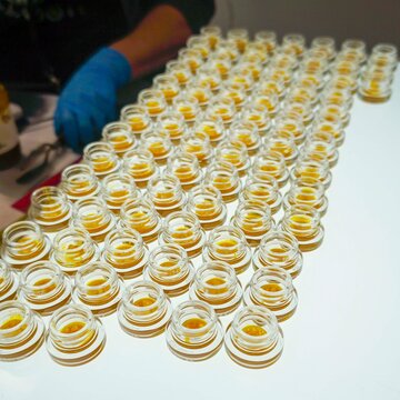 Rows of specimens in a dispensary