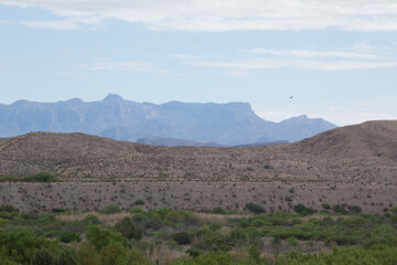 Desert mountain in Big Bend National Park
