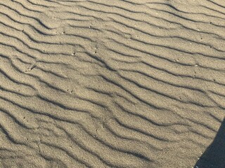 Beech sand
