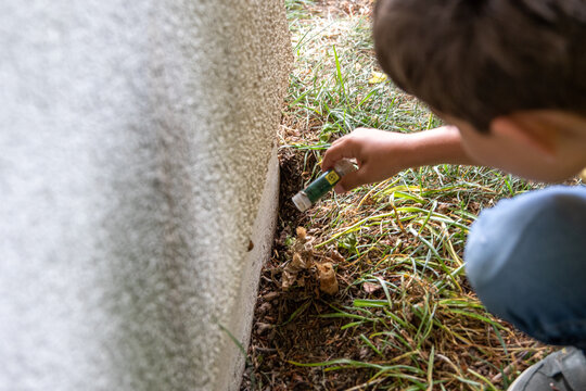 Geocaching in der Natur