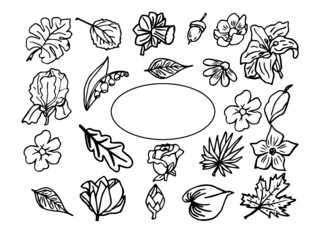 background with flowers and leaves