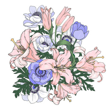 Pink lilies and blue anemones, flower bouquet, vector illustration