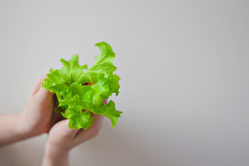 The child's hands hold a green sprout. Empty space for insertion.