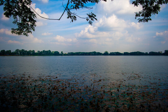Sibsagar Lake covered by lotus leaf, Admire the Lovely Architecture in Sibsagar.
