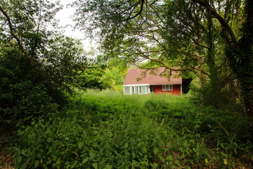 small brick home in the wood