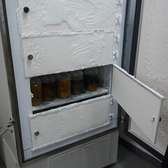 Open wall shelf